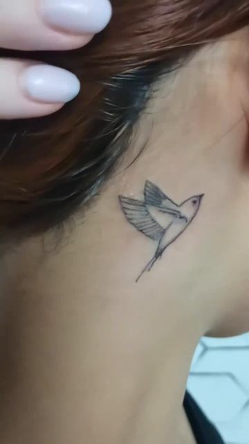 Первая птичка для девушки