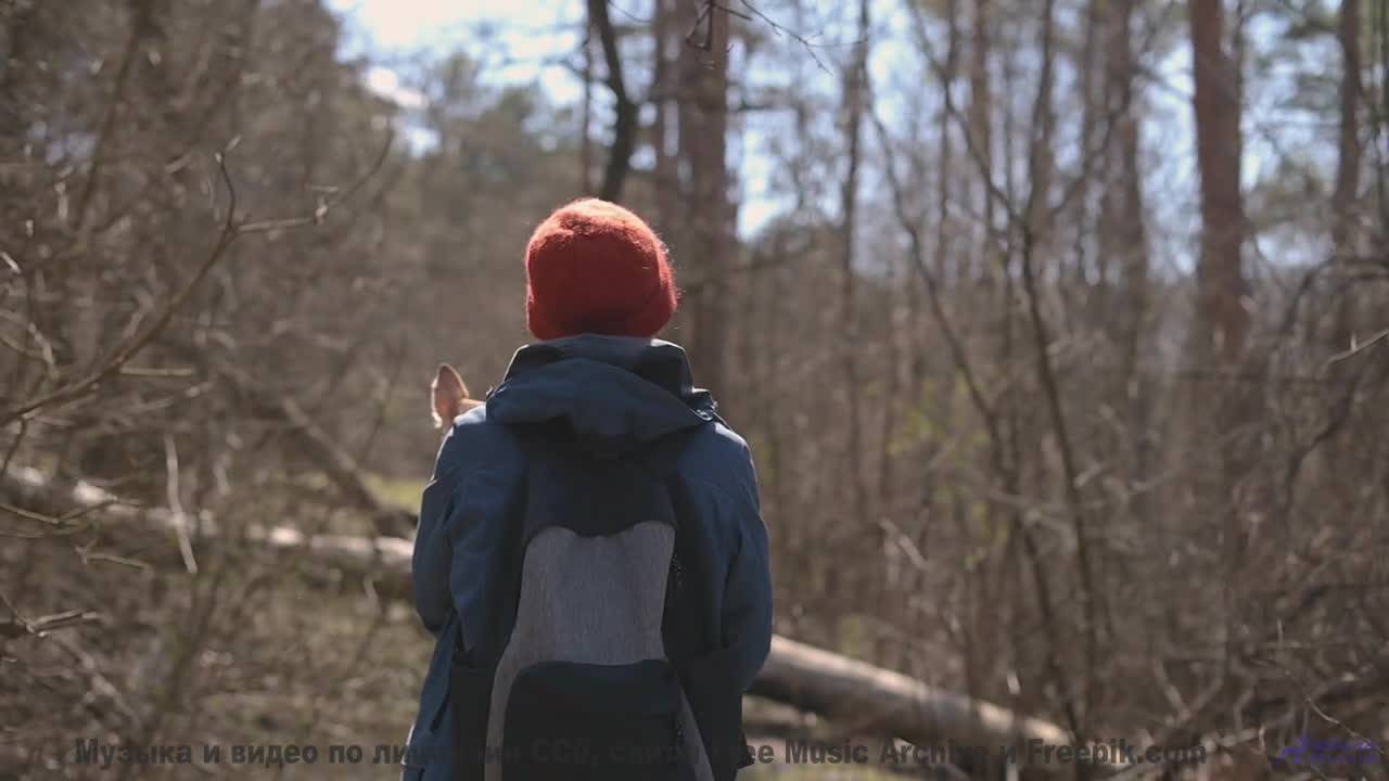 Пейзажи под трек, который разрывает чарты - Arcade Paradise -- Scott Holmes Music -- Music For Media