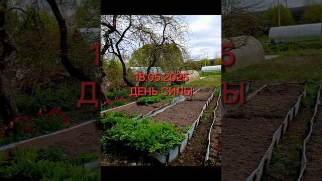 18 мая 2025, #деньсилы, практики, #нумерология