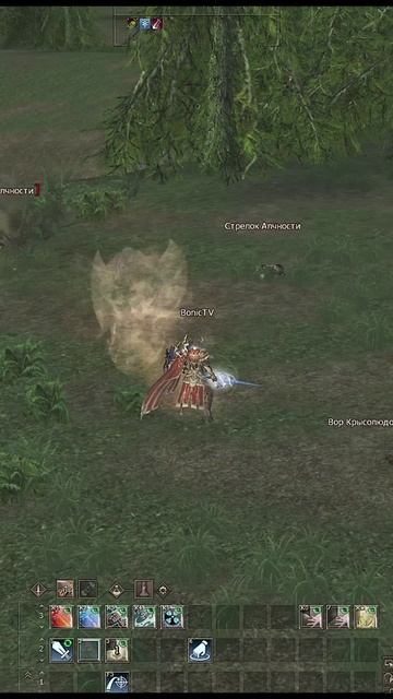 Храмовник с бюджетным донатом за 5000 рублей в Lineage 2 — 2 серия. Сдача Профы, Получение Буста.