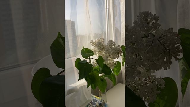 16 мая
День Венеры 
🌙♑️ в Козерогу 
💇♀️👍👍👍