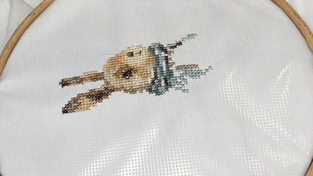 Как вышивать на одежде  / Вышивка на футболке  / How to  embroi