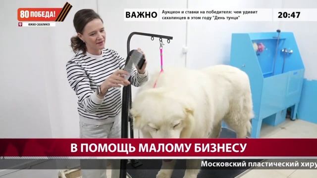 Из актеров в предприниматели