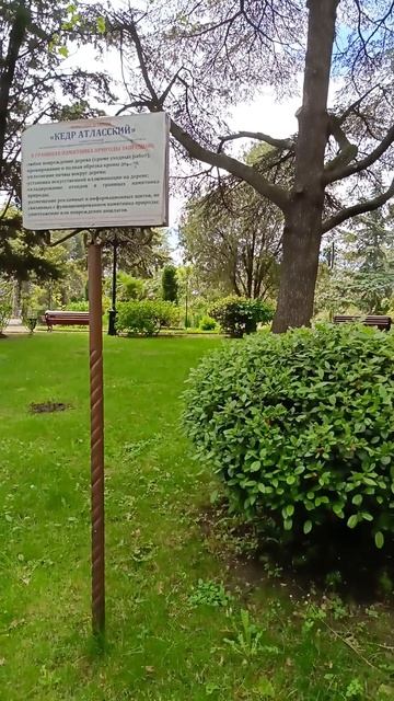 Горпарк Туапсе. Наш маленький дендрарий