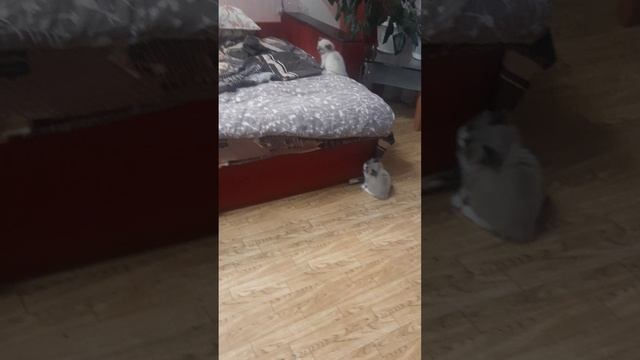 1000024484.mp4