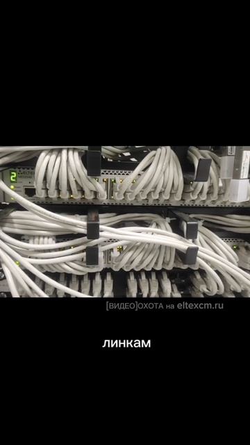 Коммутатор агрегации MES3348 Eltex. Видео[Охота] на eltexcm.ru