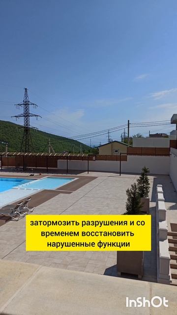 Для чего нужен трансфер фактор?