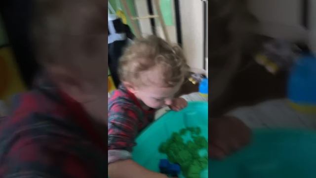 2025 05 12 УТРО У МАСИКА 4К.mp4