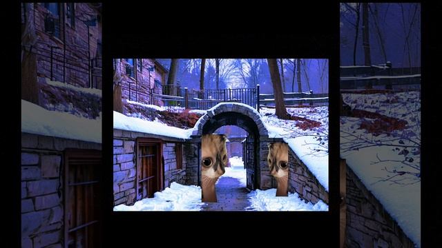 Кошачья жизнь 8 серия (part 2)
