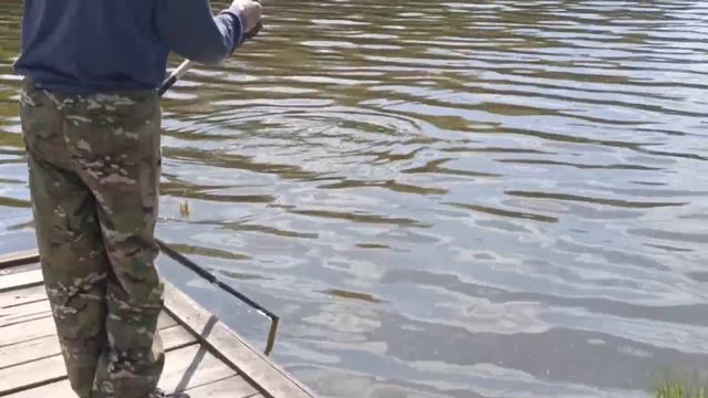 Поимка карпа
