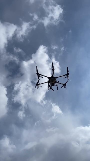 DJI AGRAS T20 #dji #djiagras #djit20 #agrast20 #dronefly #drone #dronelife #djiagrast20