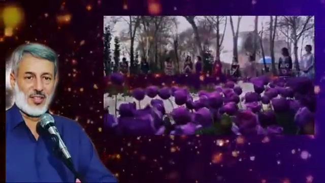 Шайх Пурдил - Духтари Точик VS شیخ پردل دختر افغانی