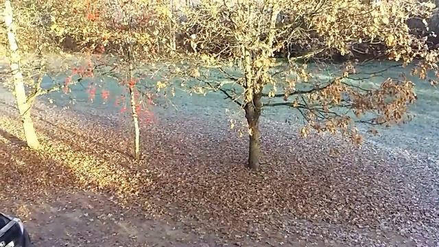 Листья сыпятся как снег.