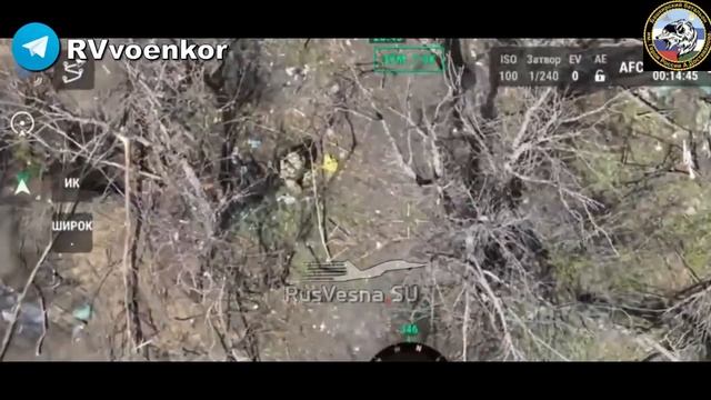 Штурм Новой Полтавки.