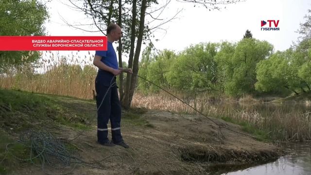Около сотни воронежских пляжей обследуют водолазы