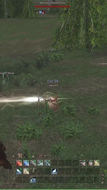 Храмовник с бюджетным донатом за 5000 рублей в Lineage 2 — 2 серия. Сдача Профы, Получение Буста.