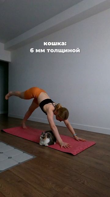 мы с Жулей влюбились в коврик POSA 🩷 теперь приходится его разделять на практике 😁