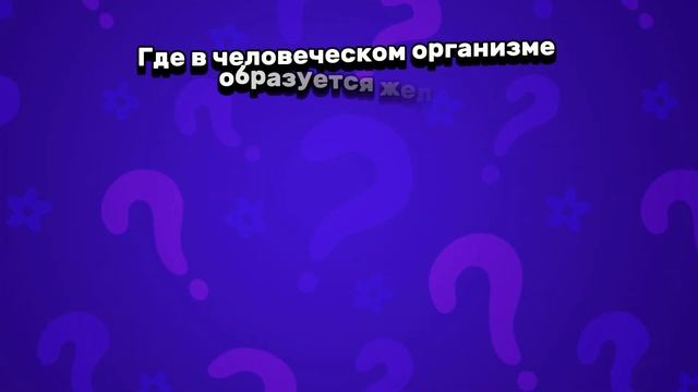 Топ 36 самых интересных вопроса #викторина #факты