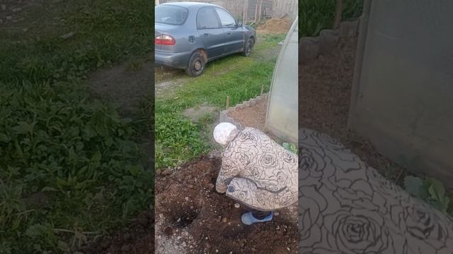 В ОГОРОДЕ ВСЕГДА НАЙДЁТСЯ РАБОТА 😀