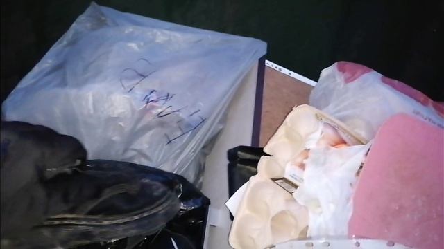 Как я зарабатываю лазая по мусоркам Питера? #Dumpster Diving