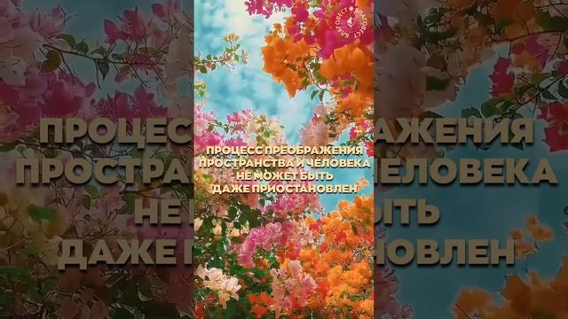 #БлагоВест ✴ ПРОЦЕСС ПРЕОБРАЖЕНИЯ ПРОСТРАНСТВА И ЧЕЛОВЕКА НЕ МОЖЕТ БЫТЬ ДАЖЕ ПРИОСТАНОВЛЕН