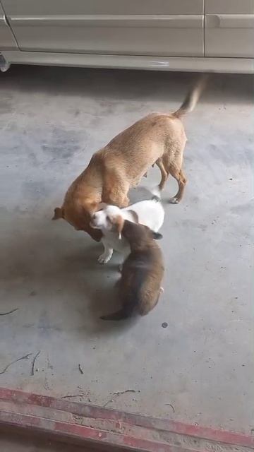 1000142340.mp4