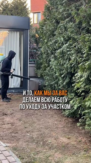 Сделаем всю работу за вас по проектированию и уходу за участком 👇