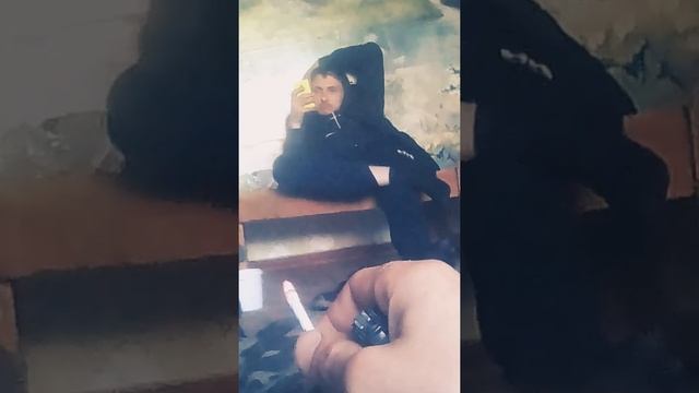 Шиза