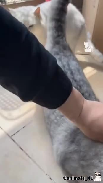 Подпишись 👉 https://vk.com/ykrasheniy_iz_kamny