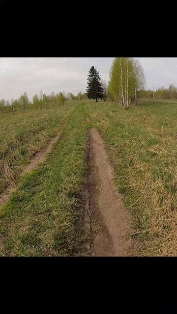 Что скрывает эта дорога.