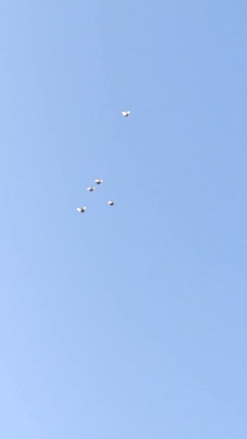 lv_0_20250222213805.mp4