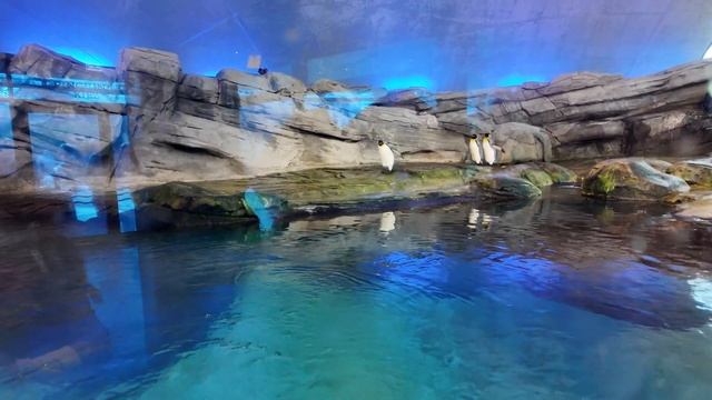 BERLIN zoo | САМЫЙ большой зоопарк ЕВРОПЫ | AQUARIUM Berlin | ТОП ме?