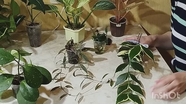 1000005393.mp4