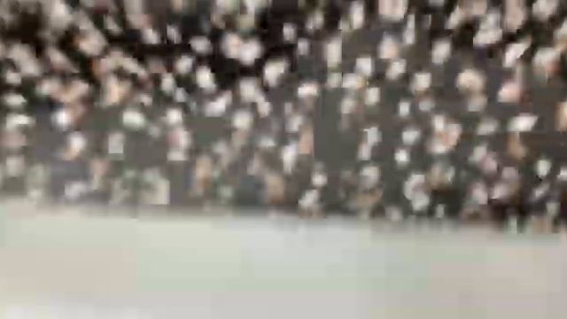 ШИФОН ВИСКОЗНЫЙ КРЕПОВЫЙ ЧЕРНЫЙ МЕЛКИЕ ПЯТНА арт. 2601242