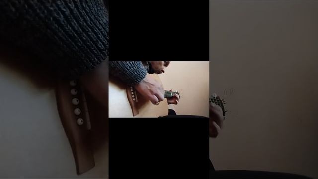 Bird - Птица