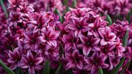 Открытки с добрым утром пожеланиями добра на весь день 🌼