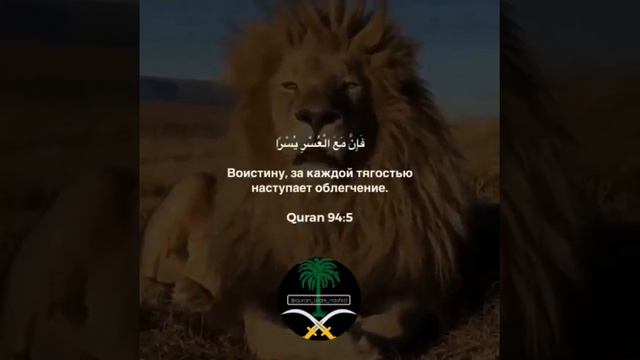 Чтение Корана. Сура Аш-Шарх (Раскрытие)