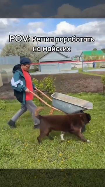 🆂🅷🅾🆁🆃🆂 🅹🅾🅺🅴🆂