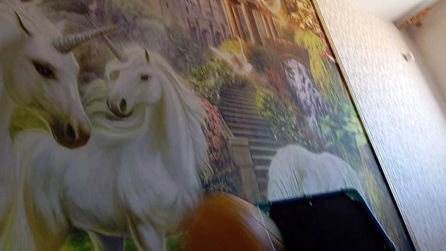 1000013618.mp4