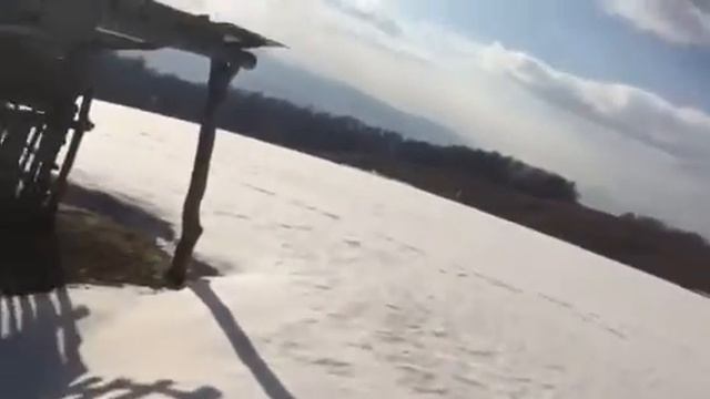 Апицка