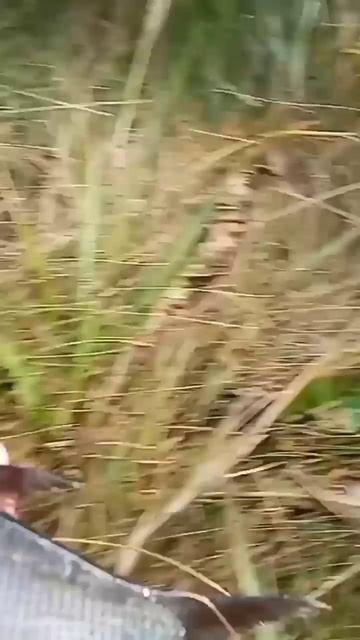 Удачная рыбалка