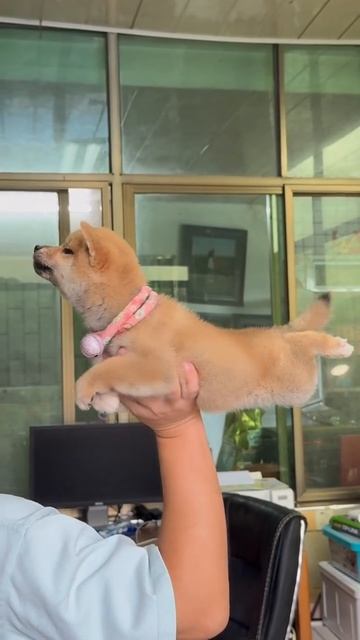 Залетаем в пятницу с отличным настроением 😜