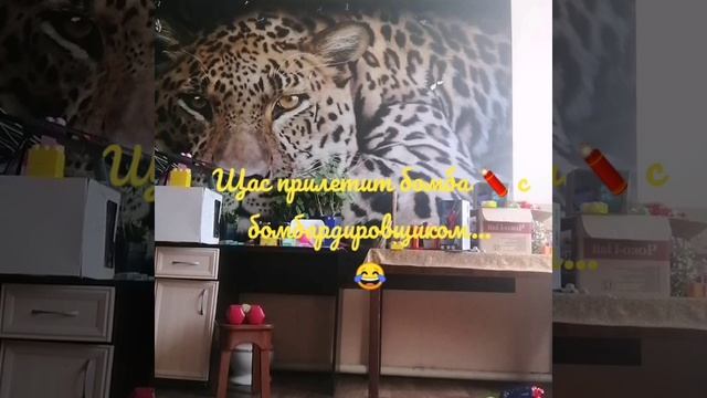 бомбардировщик💣 летит