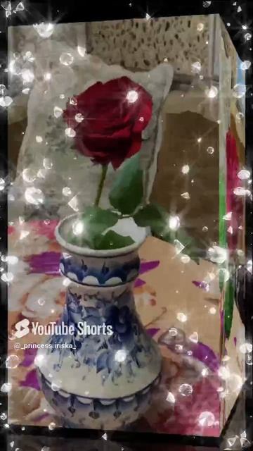 # подарила любимая сестрёнка# спасибо родная ❤️❤️❤️.mp4