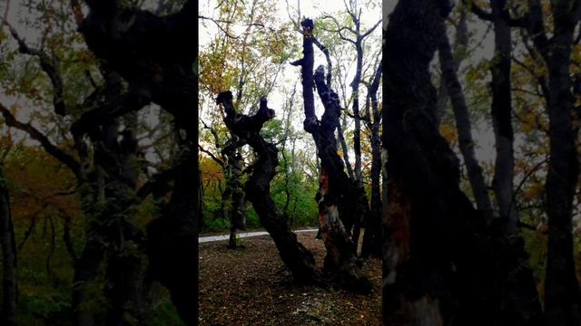 Пятигорск г.Машук. 10.10.20.