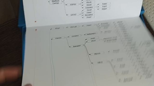 РОДОВОЕ ДРЕВО БАЙРАМУКОВЫХ- АТАУЛА БЮТДЮ