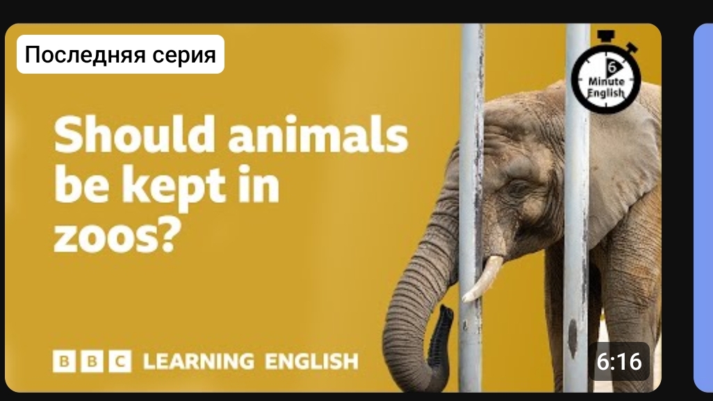 английский на слух 🎧  6 минут английского.BBC learning english.animals in zoos. УРОК+79676250268 ✍