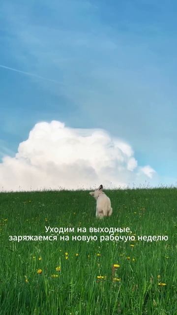 Все офисные работники в пятницу