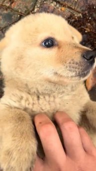 какой милашка🥰