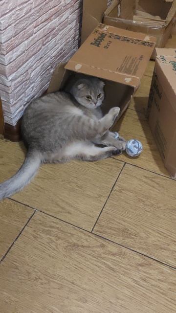 Микис. Игровой.